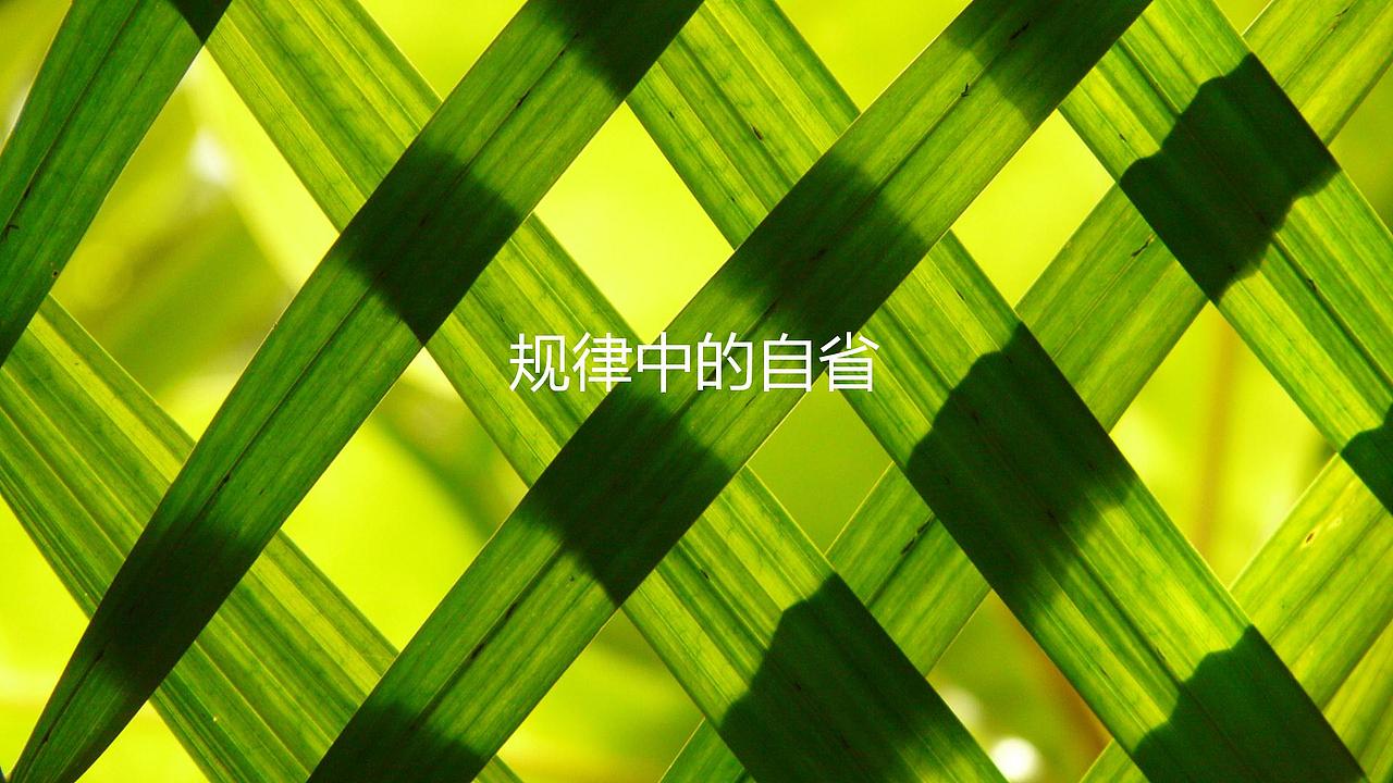 格子 | GREENLIB 轻食|便利【221品牌空间原创】