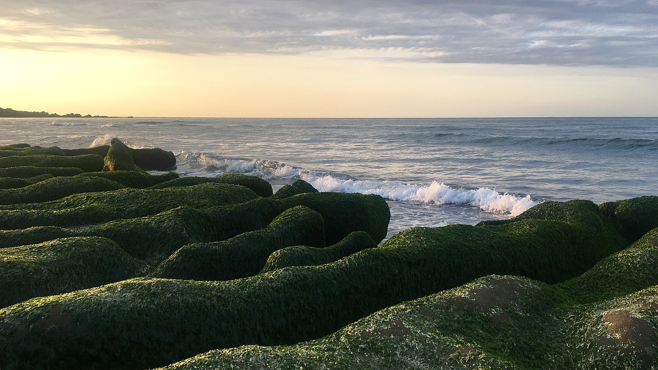 手机摄影-台湾老梅石槽