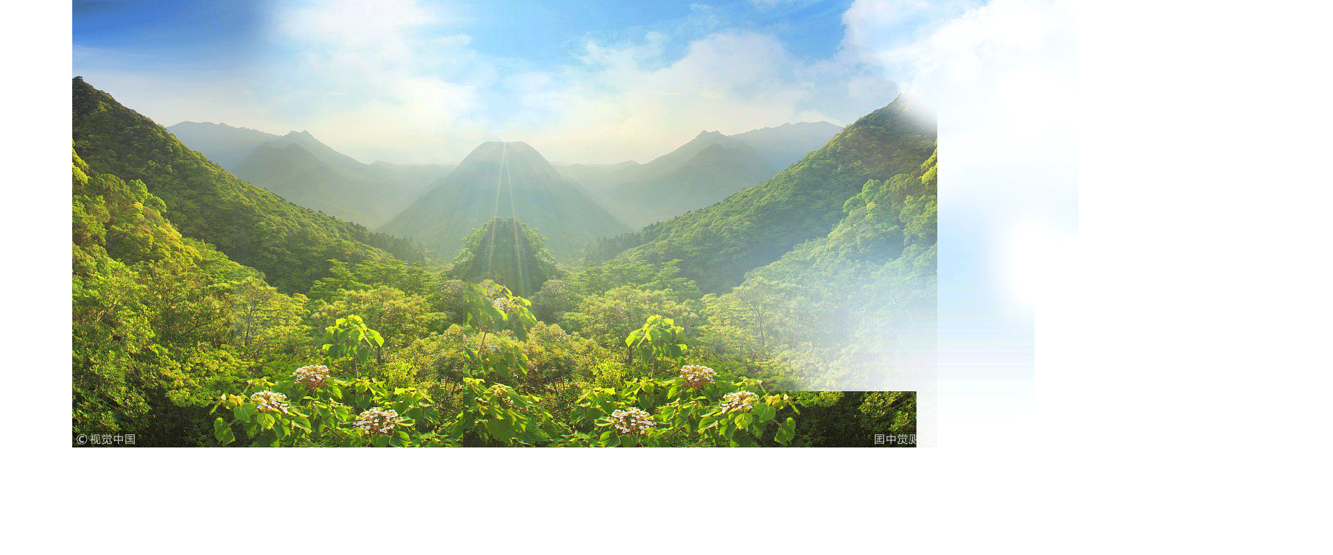 合成banner设计-与你一路遇见 繁花似锦