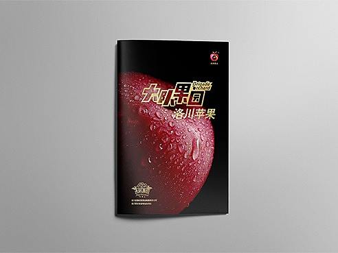 画册设计（个人主页-ZMzI5NzMzNzI=） - 书籍/画册 - 站酷设计师zhangchen61925原创素材 - 站酷ZCOOL