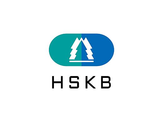 HSKB医药健康 品牌设计