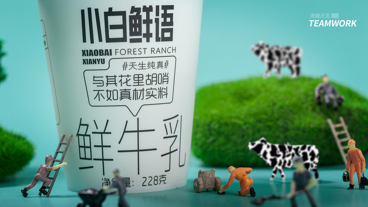 云南乍甸森林牧场鲜牛乳牛奶