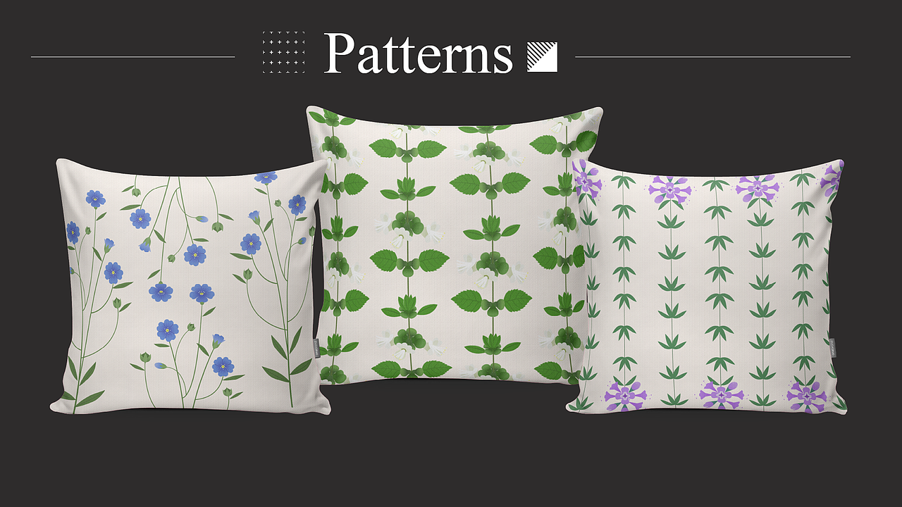 草本植物·草花系列（图ZMzA0NzM1MDY0） - 创作习作 - 站酷设计师ZiasPocketDesign原创素材 - 站酷ZCOOL