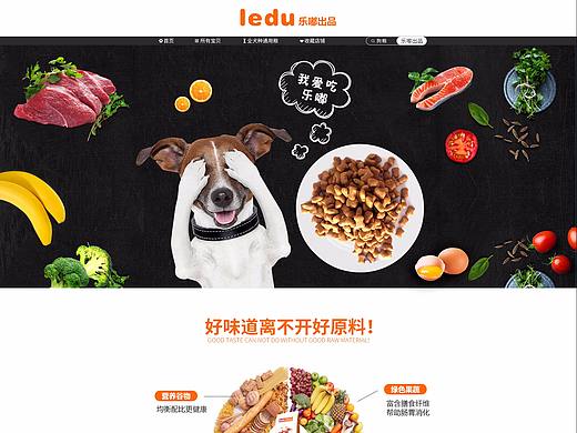 狗粮宠物食品首页黑色橙色健康营养均衡猫狗粮食