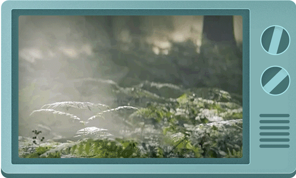 金典-微信公众号长图