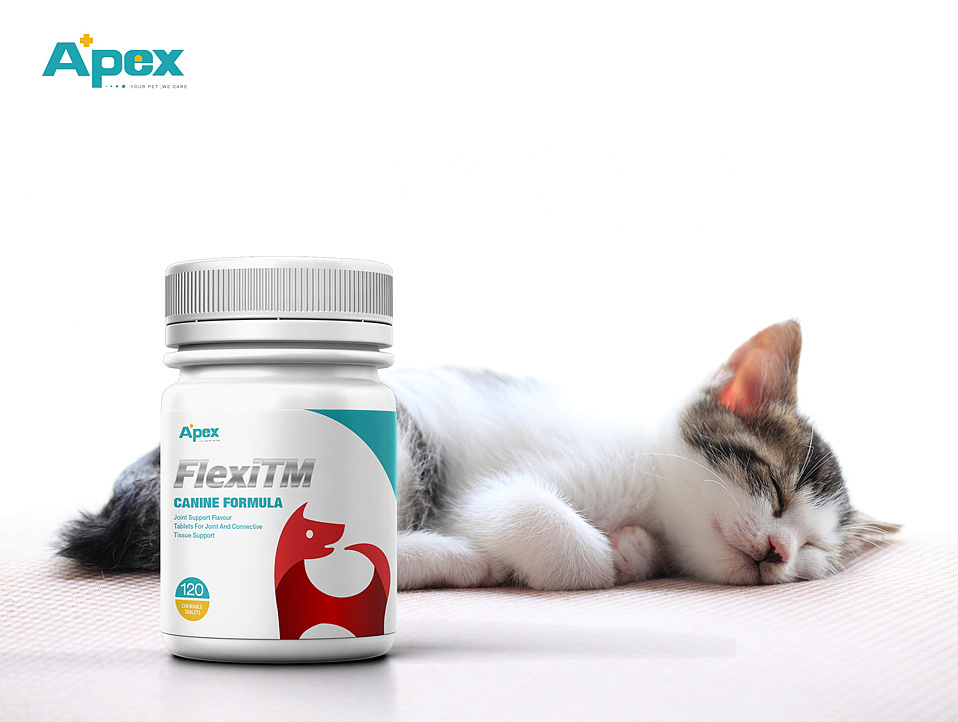 泛泰克宠物药品