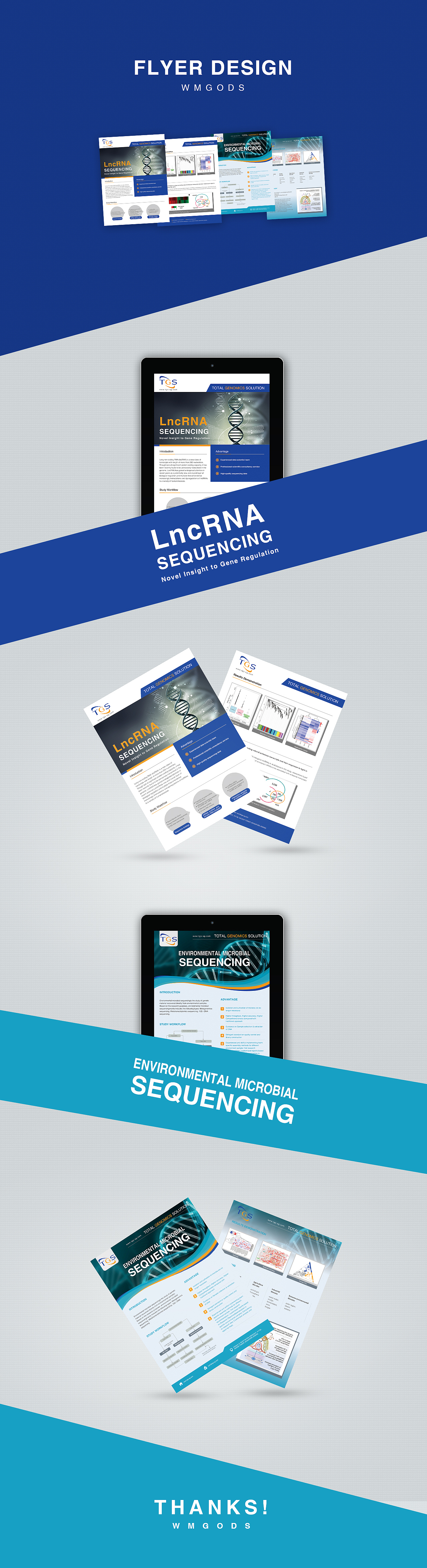 flyer宣传单页设计 英文生物宣传单页 英文卡片设计（图ZMTg2ODc2NDY0） - 宣传物料 - 站酷设计师wmgods原创素材 - 站酷ZCOOL