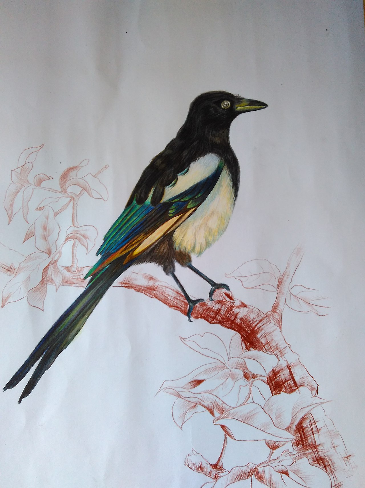 先看下成品-喜鹊