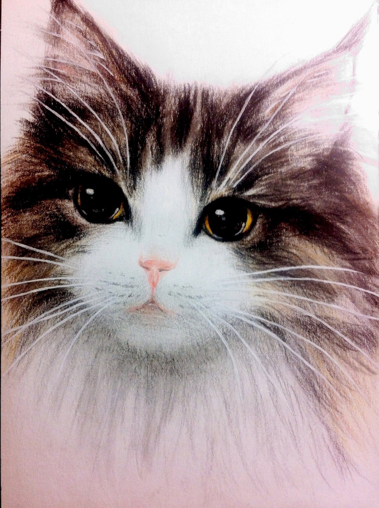 彩铅软萌猫（图ZNDI2NjExMjg=） - 绘画 - 站酷设计师Yokatee原创素材 - 站酷ZCOOL