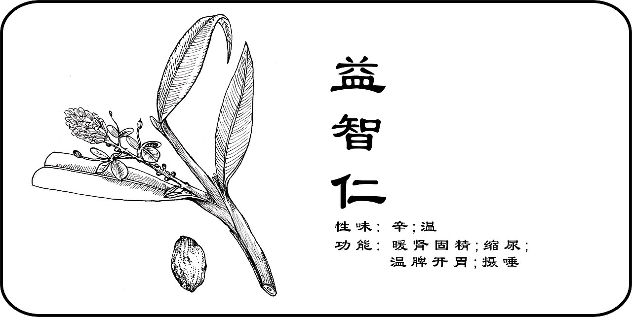 中草药手绘标示（图ZMzY3NTI3ODA=） - 创作习作 - 站酷设计师一二零七原创素材 - 站酷ZCOOL