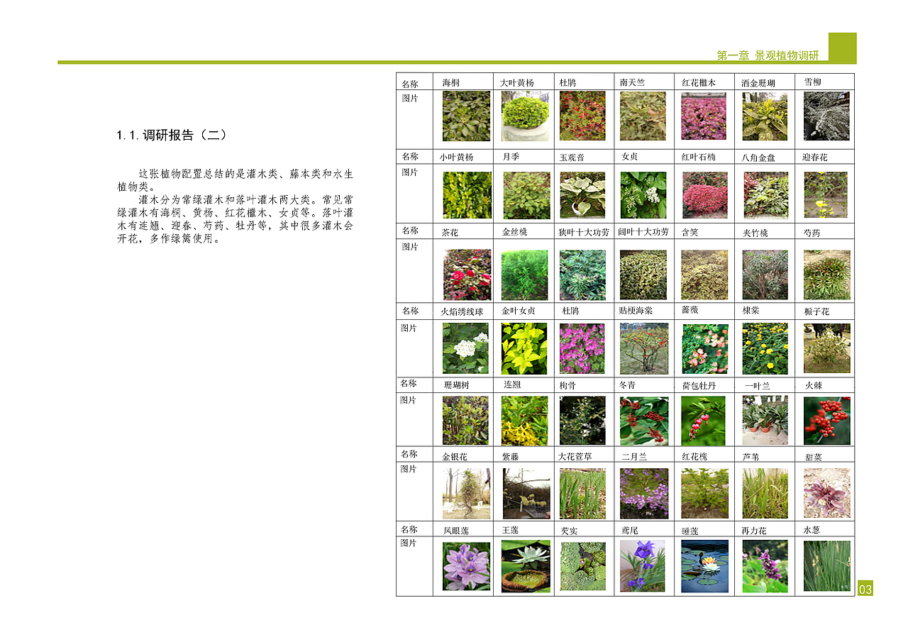 庭院景观植物设计方案