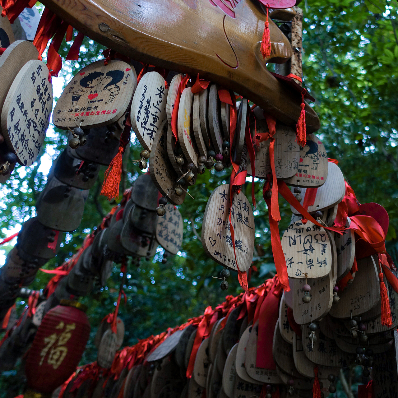 一期一摄#广州-白云山