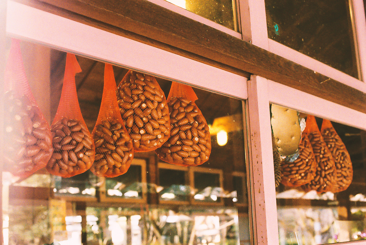 午后漫步(东京)