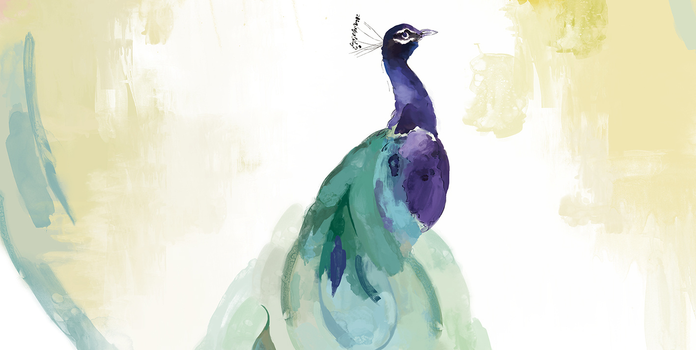 孔雀|插画|商业插画|艺轩绘本 - 原创作品 - 站酷 (zcool)