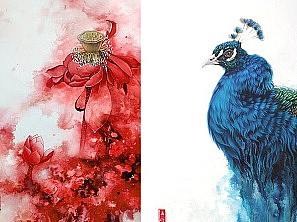 今天都画了什么？