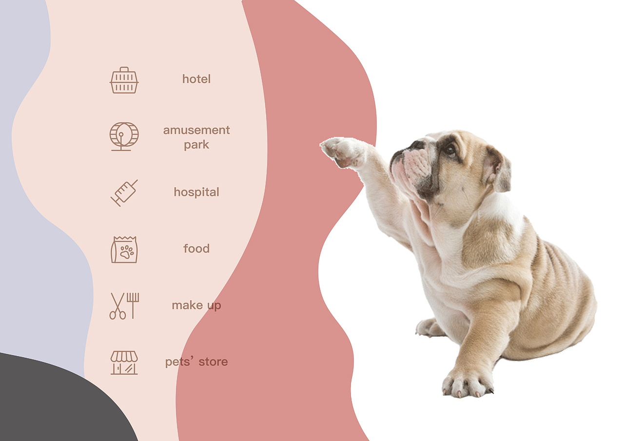 【品牌案例】 梦宠之家