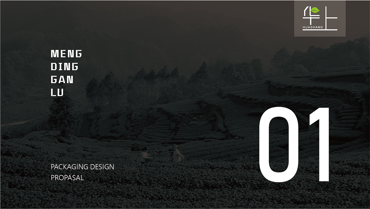 蒙顶甘露的设计提案