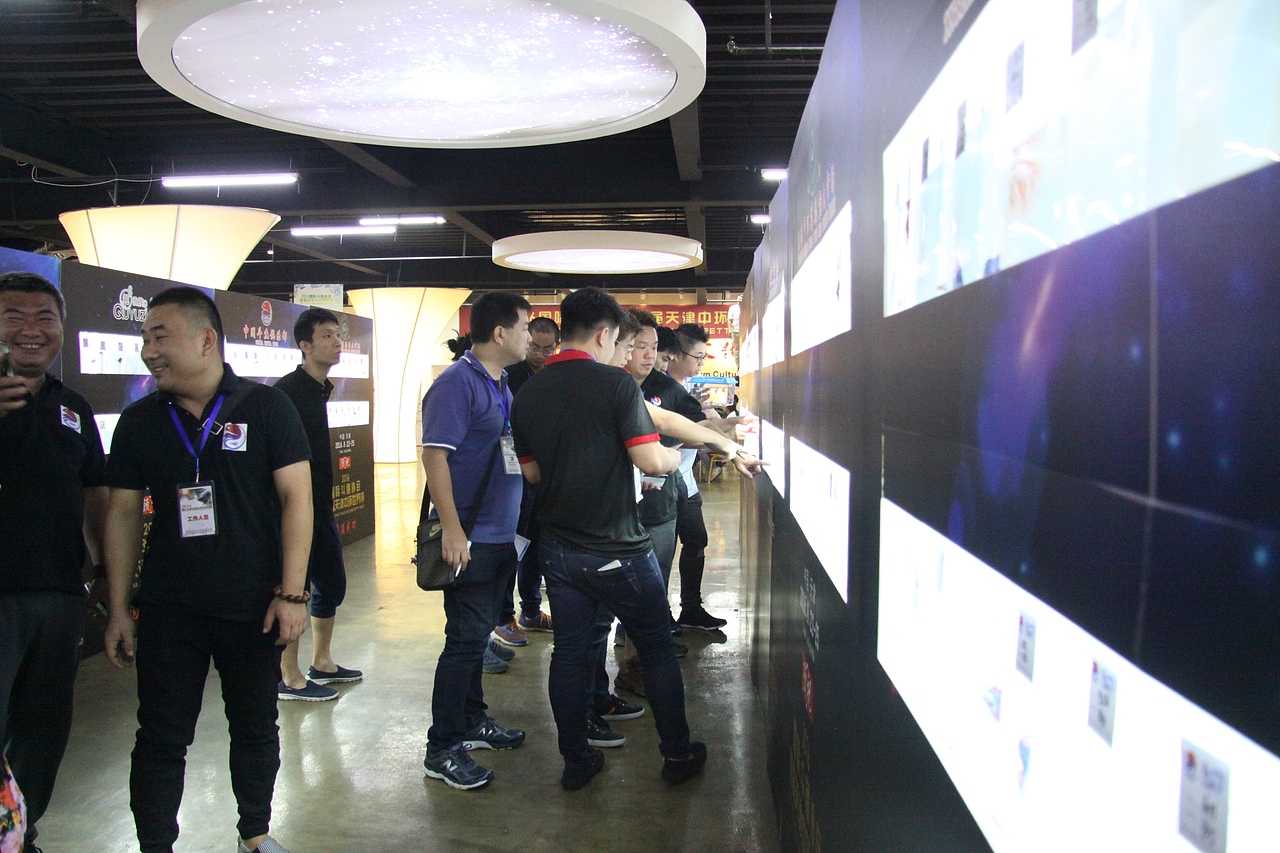 世界斗鱼观赏比赛 补充汇报