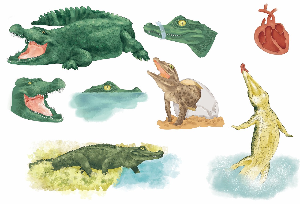 日常练习（图ZMjAwNTgwMjY0） - 创作习作 - 站酷设计师BIANXIAOROU原创素材 - 站酷ZCOOL