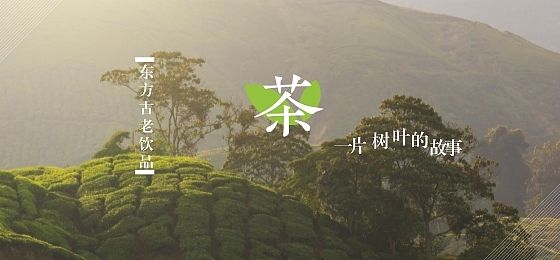 文字排版 图文设计 广告banner 中英字体结合排版 文字设计 图形图案排版（图ZNjAzODIxMzY=） - 运营设计 - 站酷设计师帅帅正在学设计原创素材 - 站酷ZCOOL