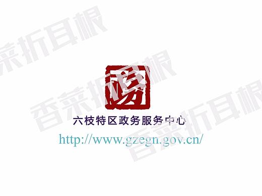 六枝政务宣传MG动画