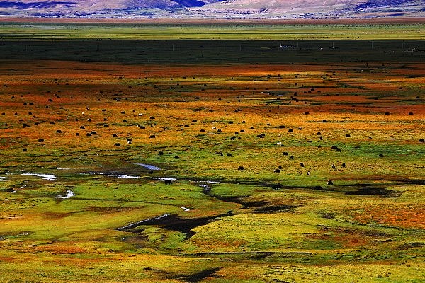 转山转水转佛塔,不为修来世,只为途中与你相见 ——— 颠藏线的天堂