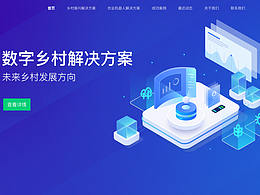 网站