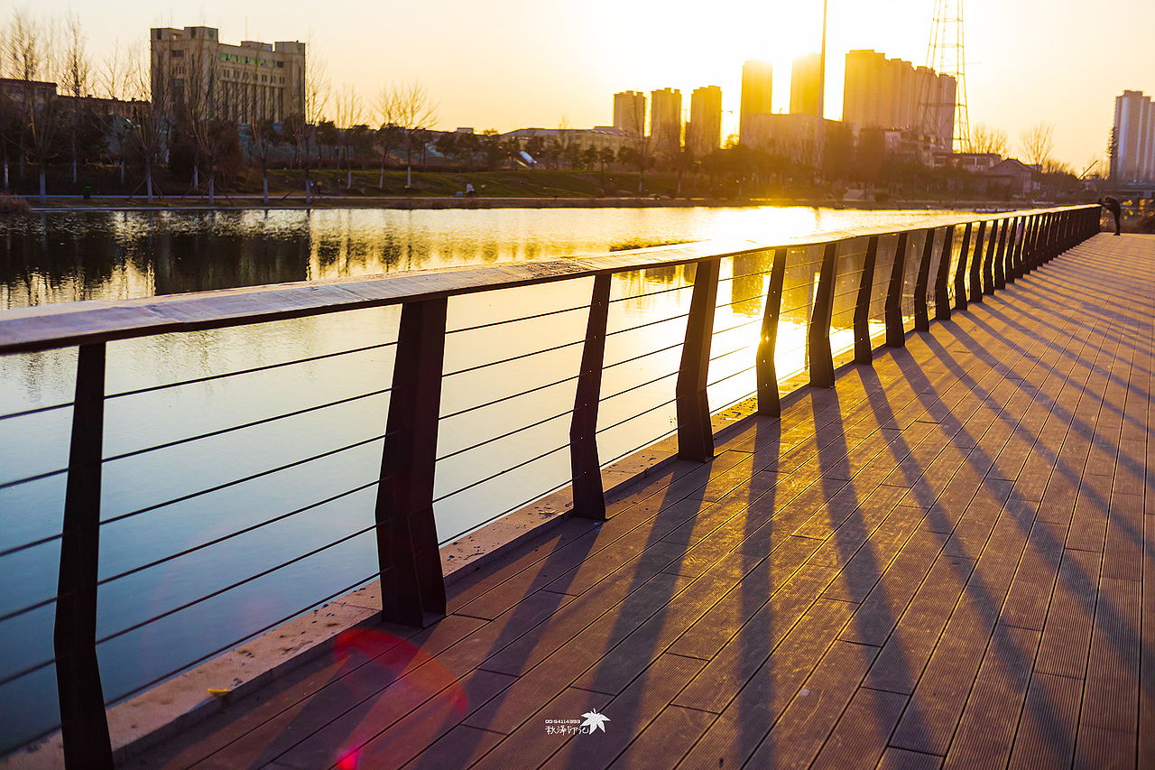 20220226随手风景杂片