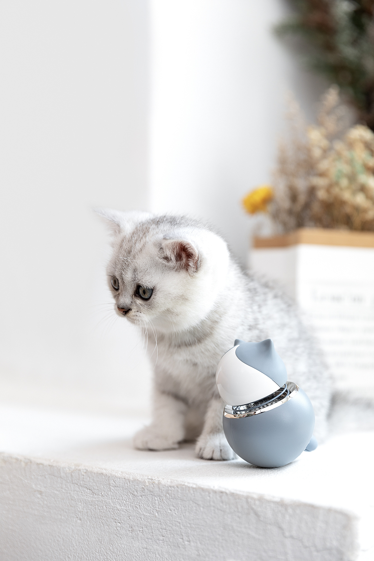 品牌案例丨优贰 猫咪 香薰扩散器（内含橱窗视频）（图ZMTcwMTkxOTcy） - 产品摄影 - 站酷设计师白底图原创素材 - 站酷ZCOOL