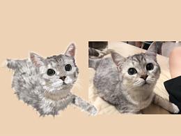 AI矢量插畫 貓咪 漸層貓 家貓