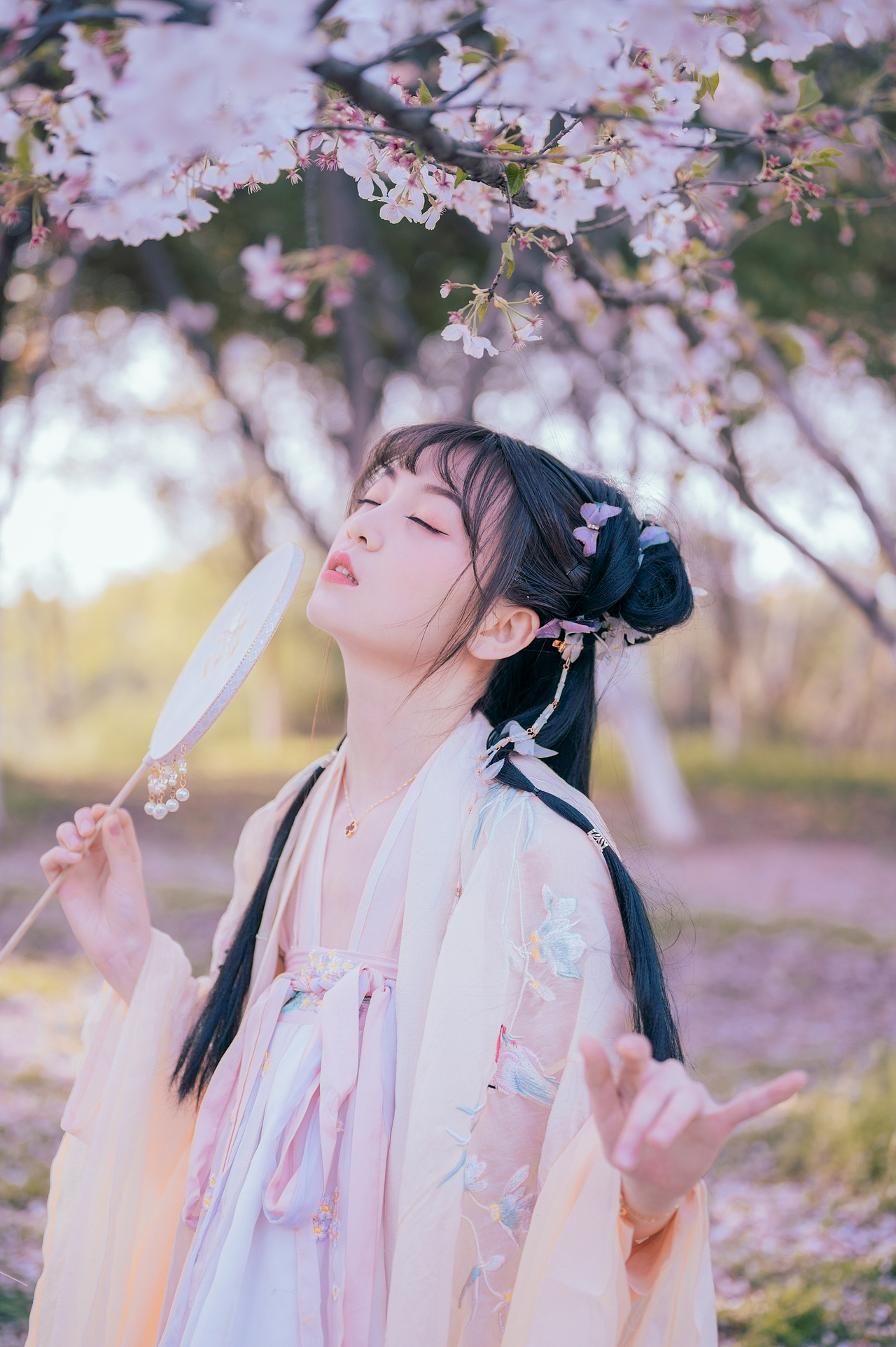 樱花落（图ZMjA0MzMxNjk2） - 人像摄影 - 站酷设计师拍照的青山原创素材 - 站酷ZCOOL