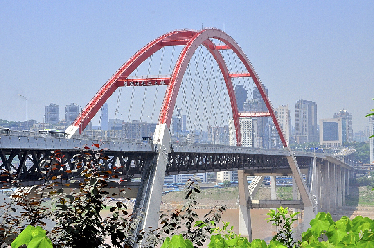 2020菜园坝长江大桥-旅游攻略-门票-地址-问答-游记点评，重庆旅游旅游景点推荐-去哪儿攻略