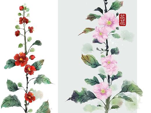 蜀葵