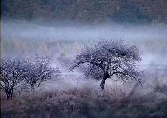 【筑龙时代】_室内设计培训_摄影机课程