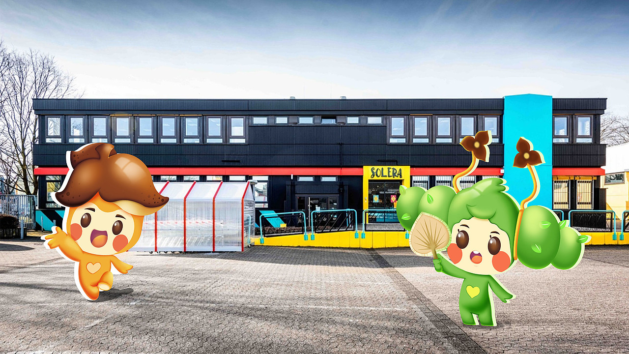 新心相会陈皮ip设计