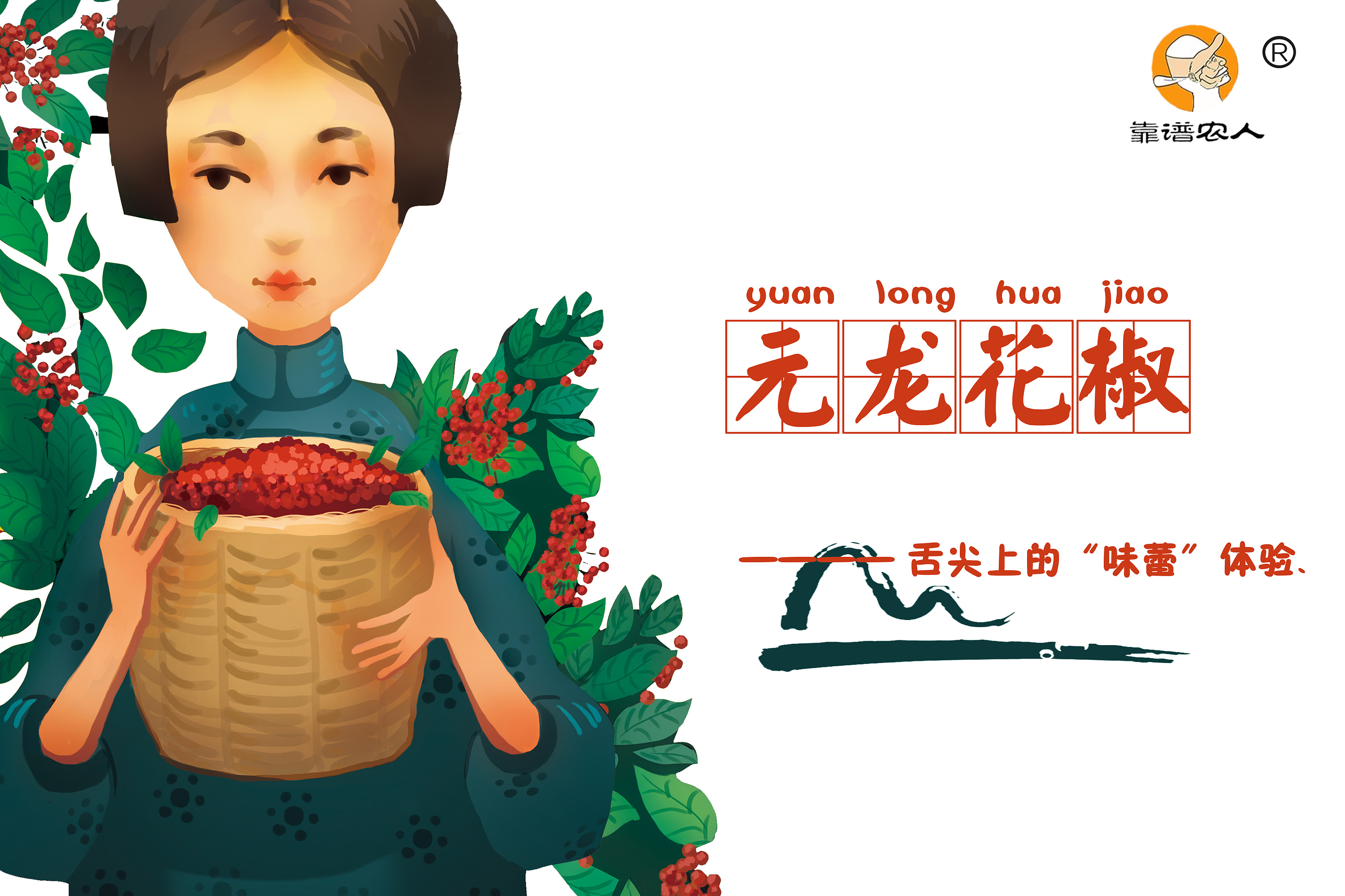 花椒包装设计样图