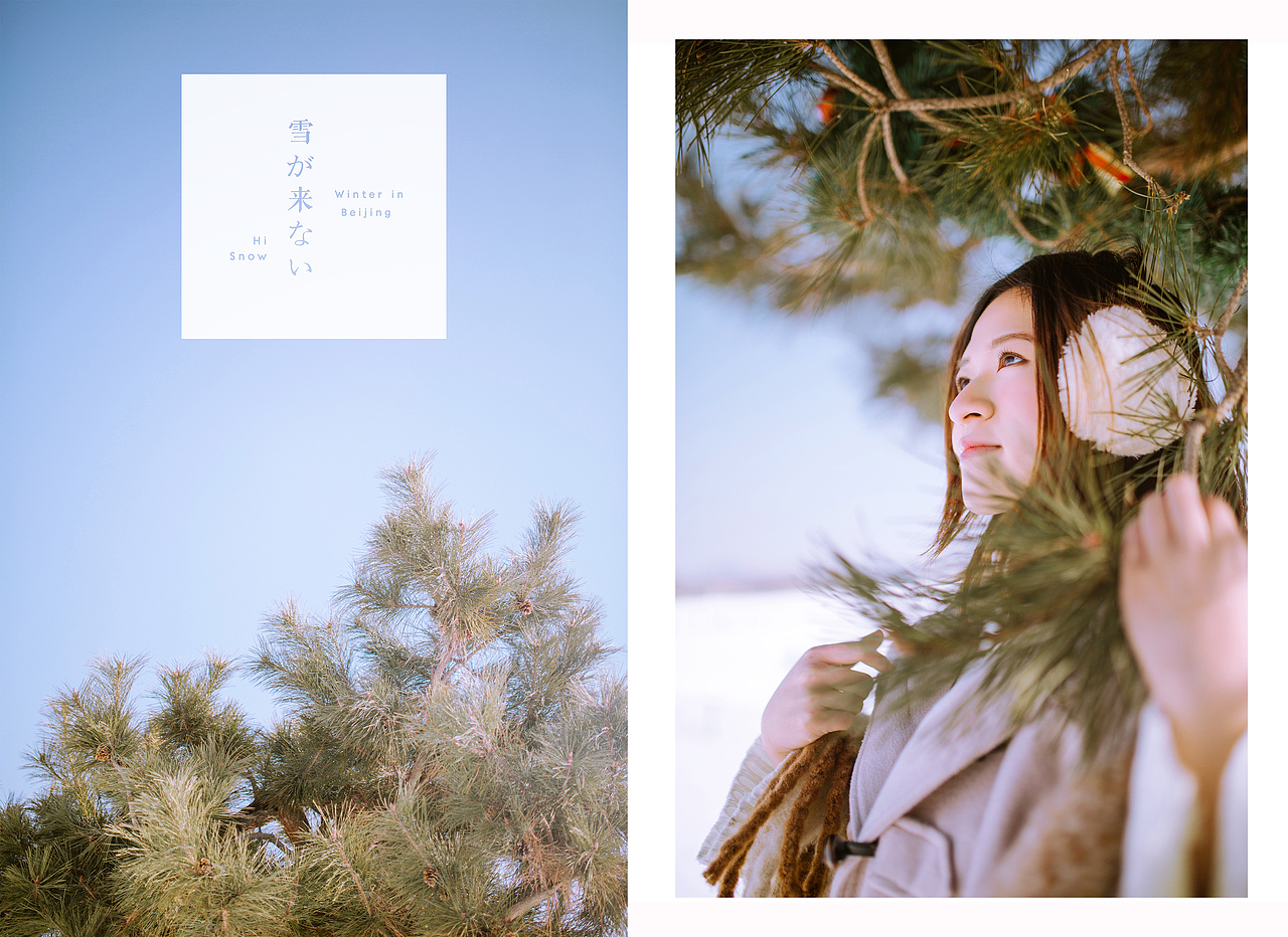 我在零下的阳光里等一场雪