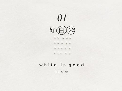 白衫展厅大米包装设计及拍摄
