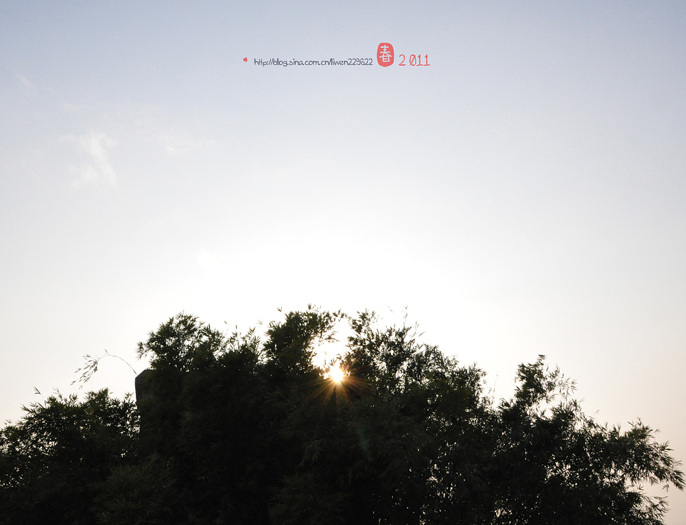 新年伊始（圖ZMjMzNjQzNg==） - 其他攝影 - 站酷設(shè)計(jì)師雯籽原創(chuàng)素材 - 站酷ZCOOL