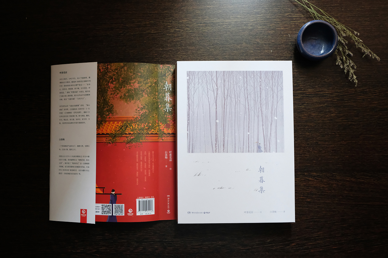 《朝暮集》书籍设计[呼葱觅蒜/绘 白落梅/著]|平
