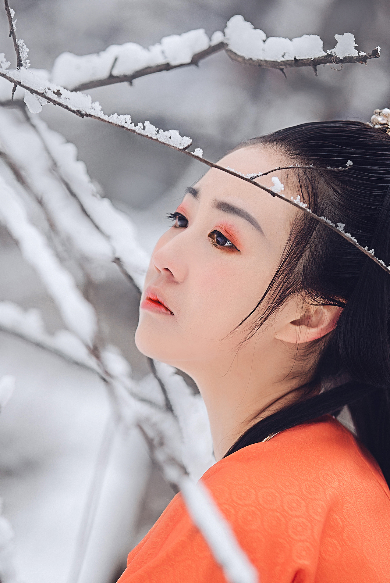 《沧雪暮青霜》