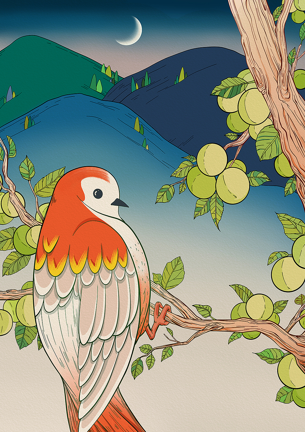 果酒-插画包装设计