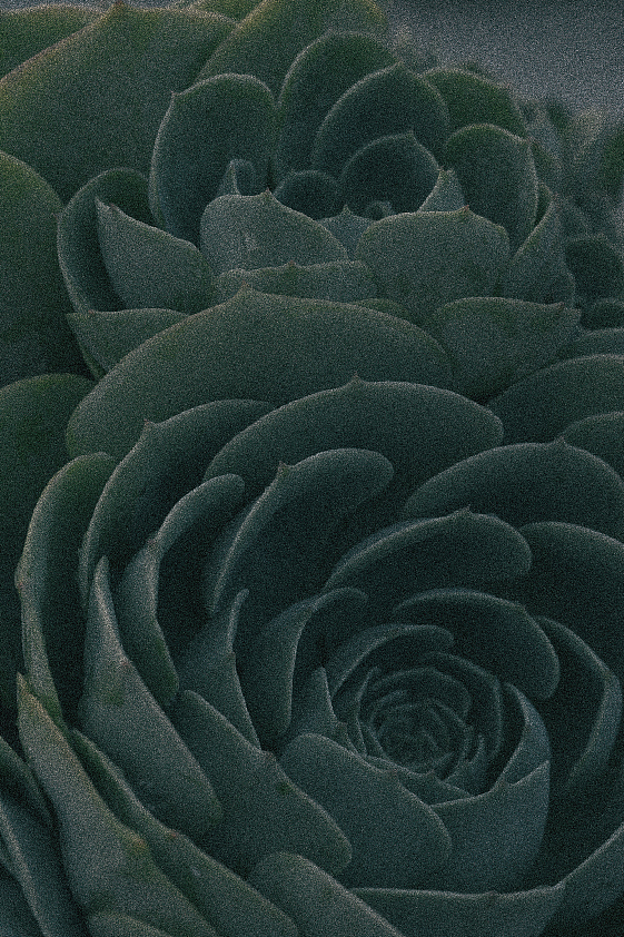 夏天 乡下的一些绿（图ZMzEwOTYwNDM2） - 风光摄影 - 站酷设计师Rihiyo原创素材 - 站酷ZCOOL