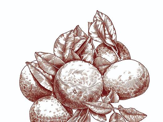 线条插画练习