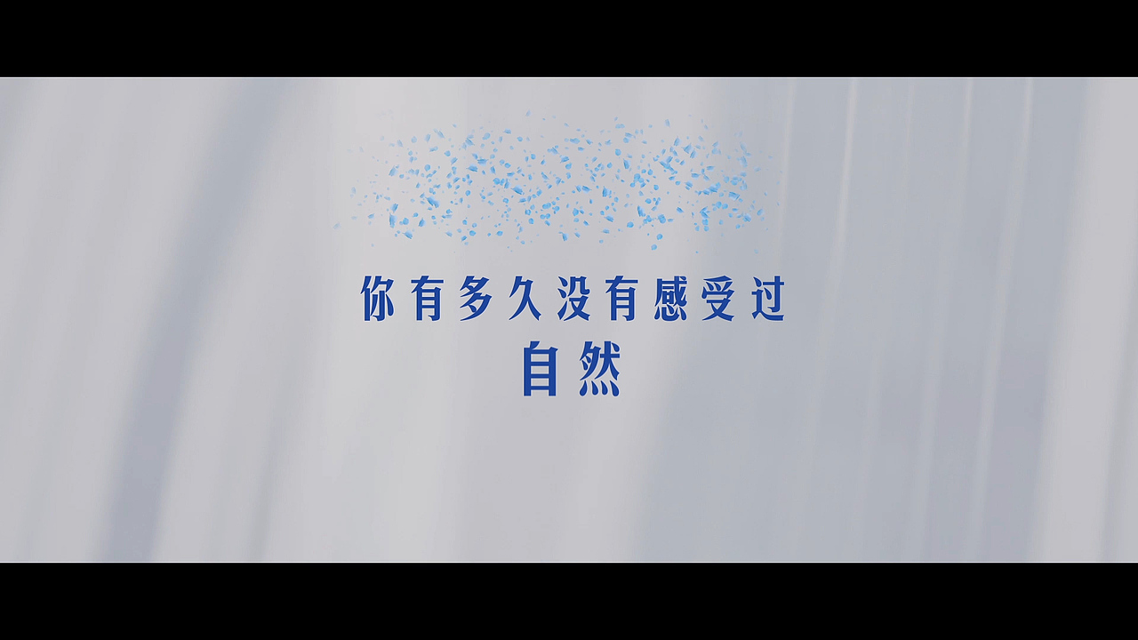 百度淳萃案例视频