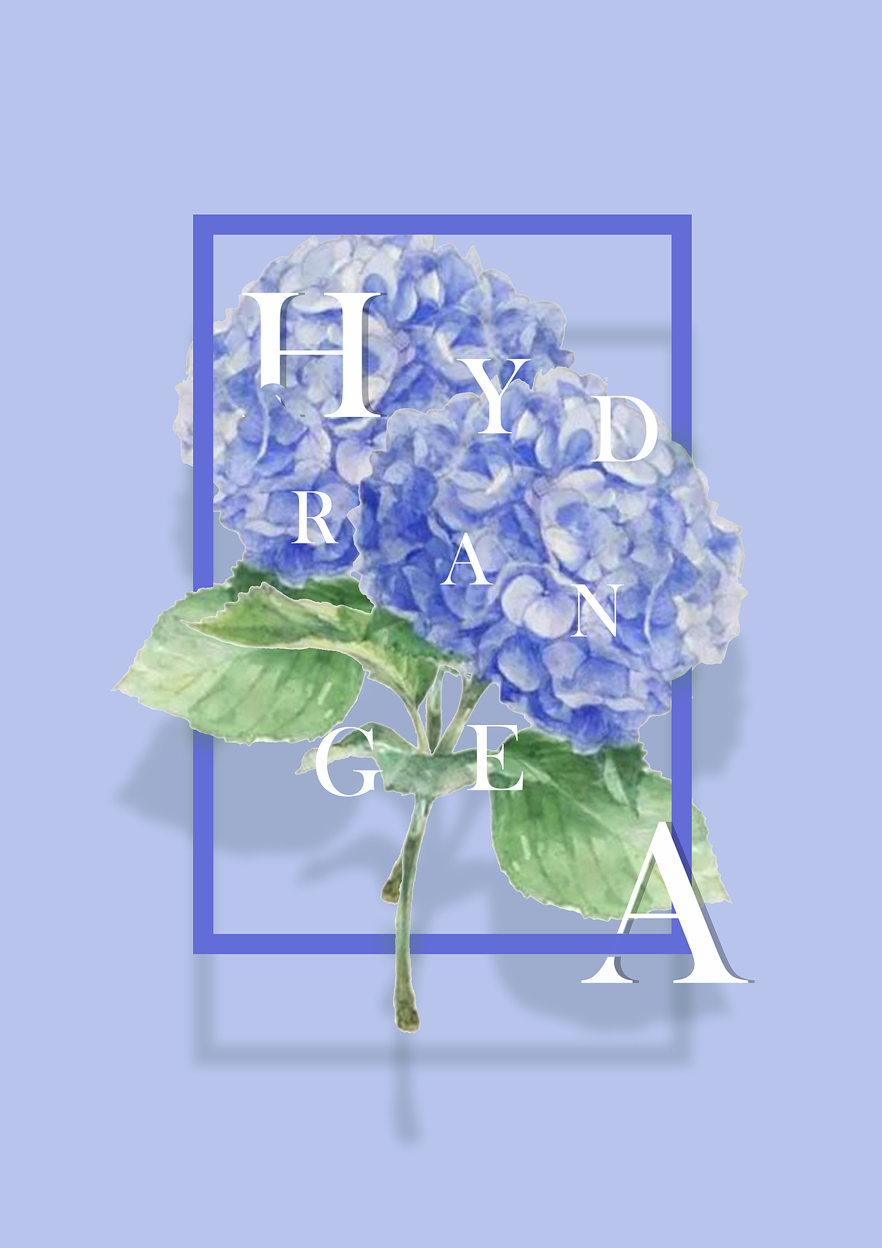 平面设计（图ZMjE5MzM2MDgw） - 海报 - 站酷设计师胖头鱼宝宝原创素材 - 站酷ZCOOL