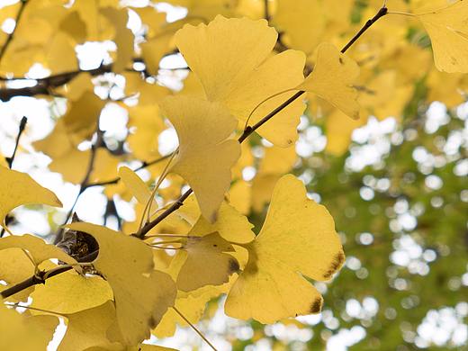 闲逛中央山（个人主页-ZMjUwODA3MDA=） - 风光摄影 - 站酷设计师包子108原创素材 - 站酷ZCOOL