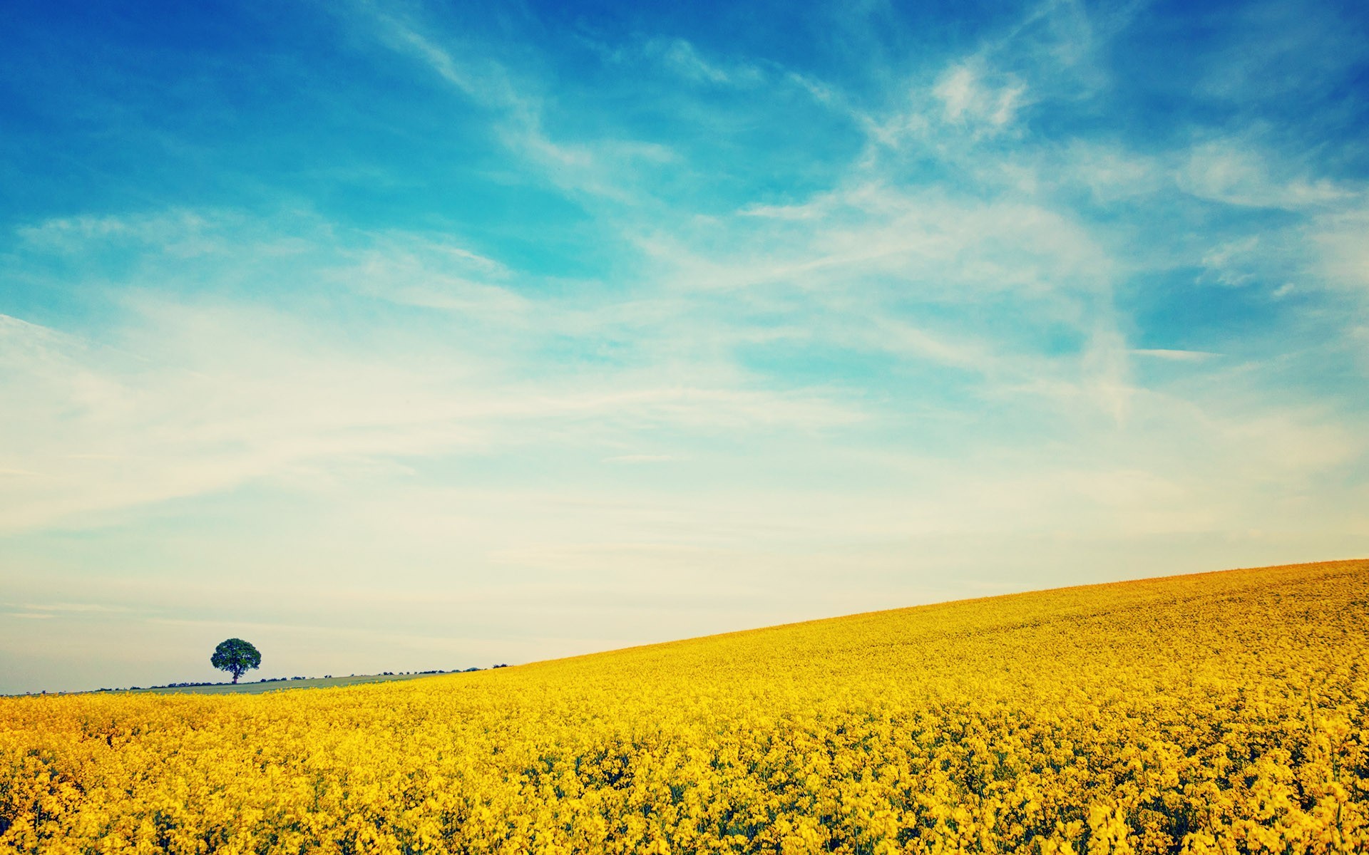 白日梦Judy的个人主页（封面预览） - 主页封面设置 - 站酷设计师白日梦Judy原创素材 - 站酷ZCOOL