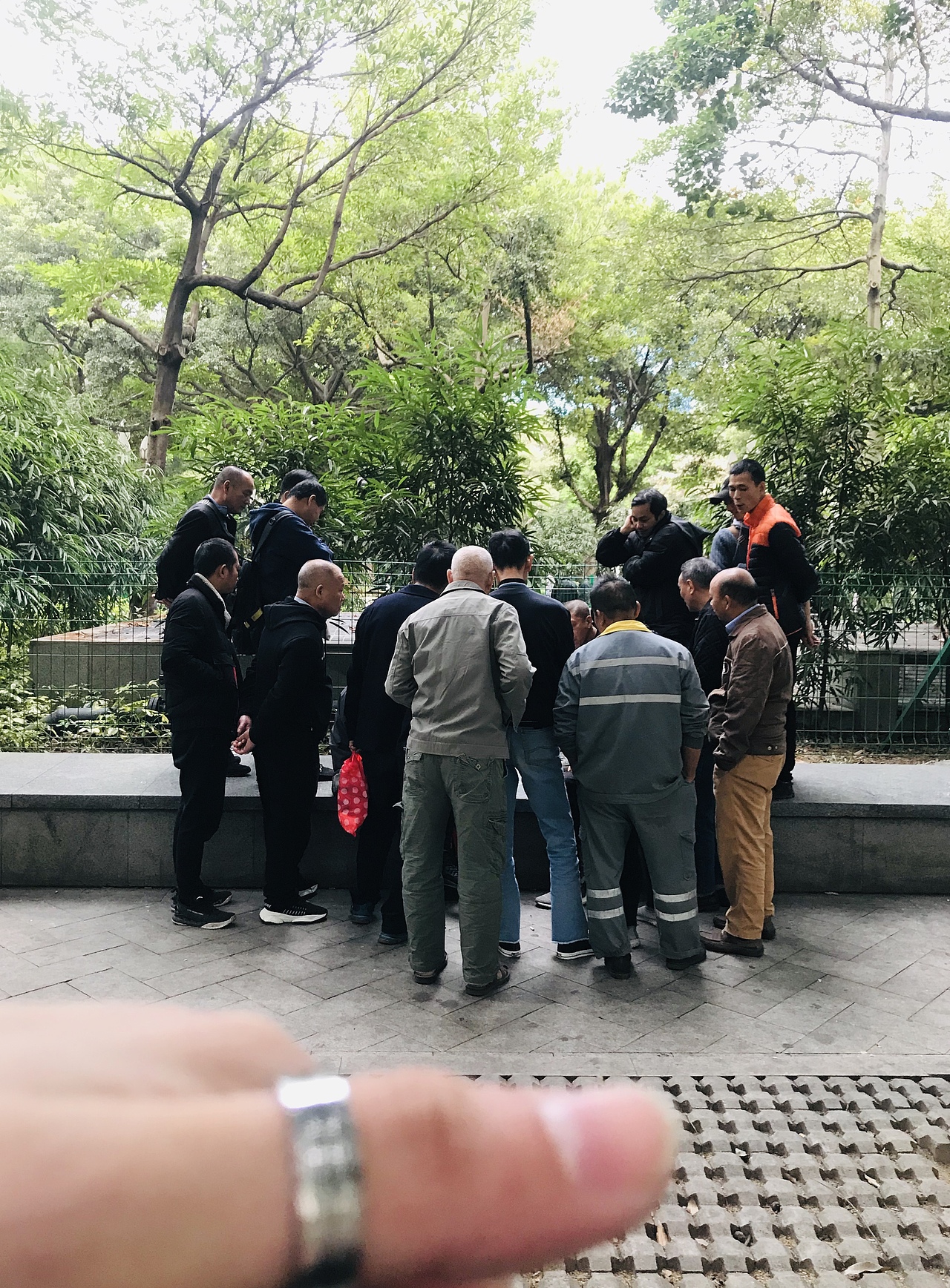 我的手机摄影随拍（图ZMjcyMTQxMjI4） - 风光摄影 - 站酷设计师新一Sun原创素材 - 站酷ZCOOL