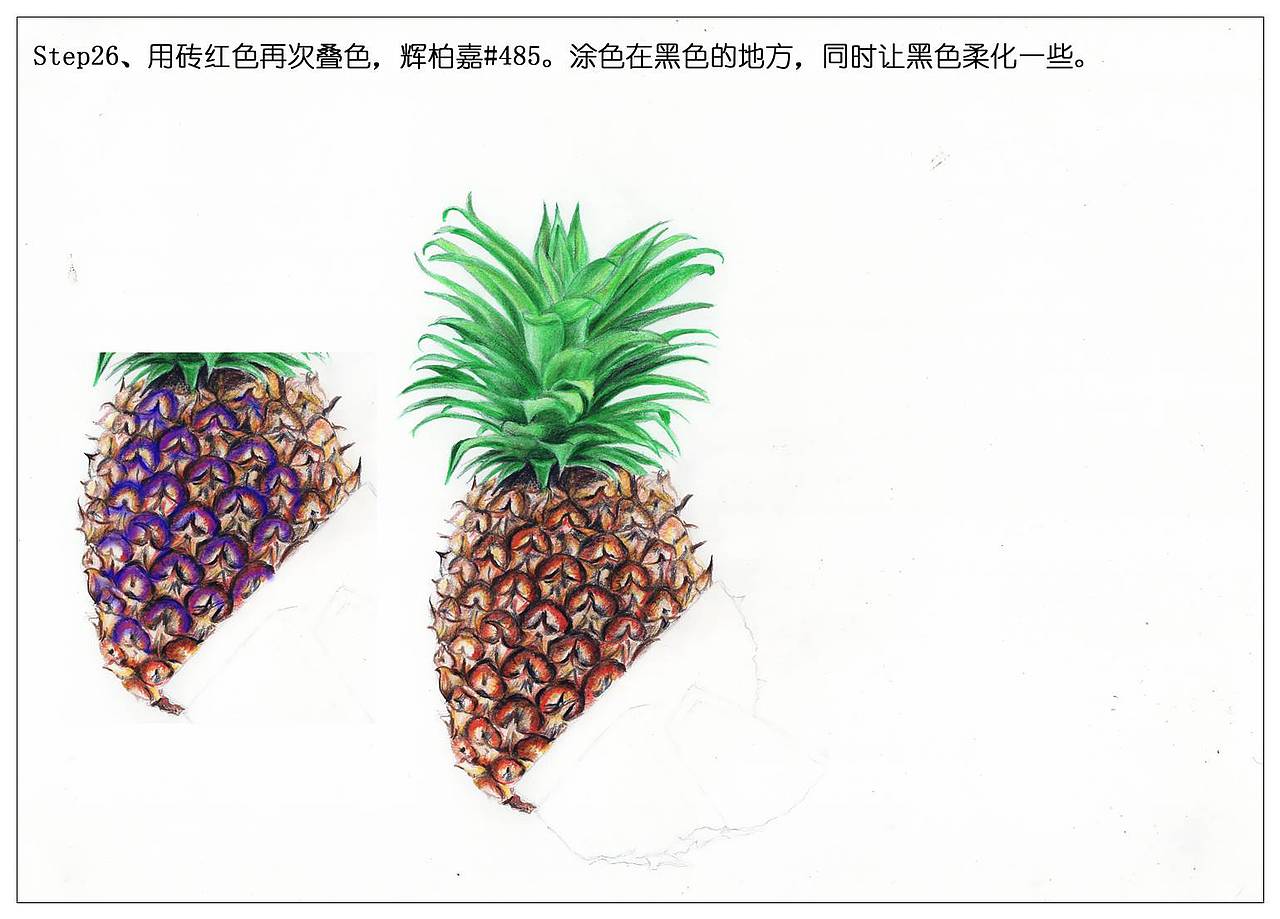 【驴大萌彩铅】手绘24节气水果图鉴 谷雨菠萝